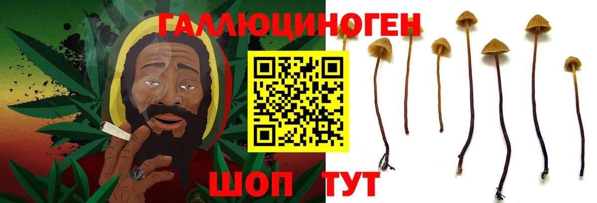 Псилоцибиновые грибы мицелий  Вход с VPN  Галлюциногенные грибы Psilocybe  Нефтекумск 