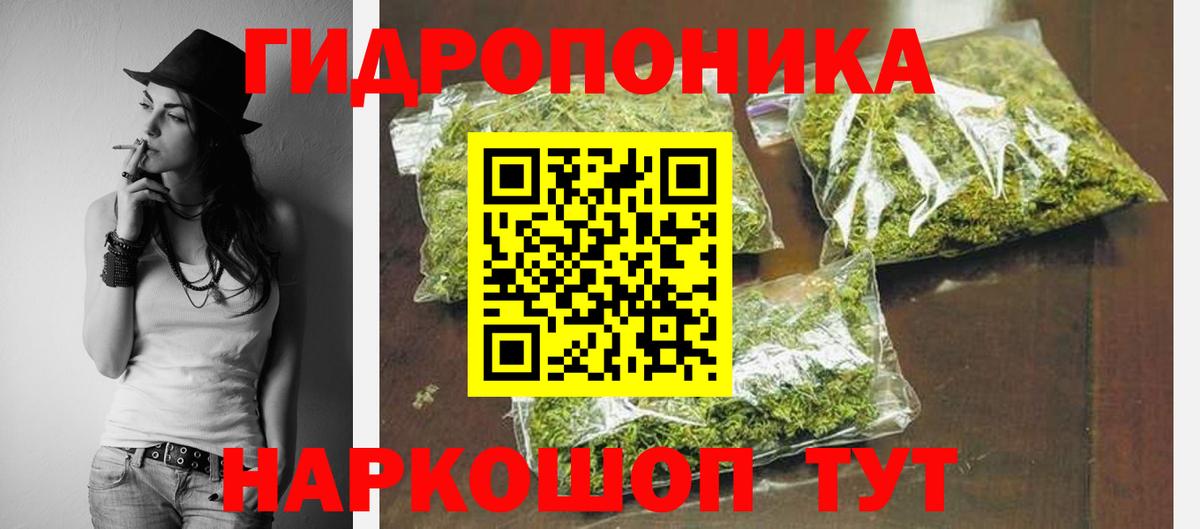 Конопля индика Нефтекумск